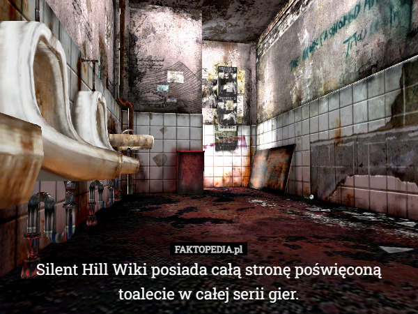 Silent Hill Wiki posiada całą stronę poświęconą toalecie w całej serii gier. 