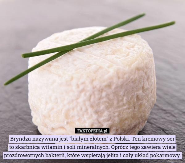 Bryndza nazywana jest "białym złotem" z Polski. Ten kremowy ser
 to skarbnica witamin i soli mineralnych. Oprócz tego zawiera wiele prozdrowotnych bakterii, które wspierają jelita i cały układ pokarmowy. 