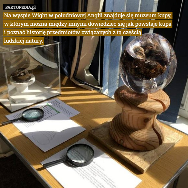 Na wyspie Wight w południowej Anglii znajduje się muzeum kupy,
w którym można między innymi dowiedzieć się jak powstaje kupa
i poznać historię przedmiotów związanych z tą częścią
ludzkiej natury. 