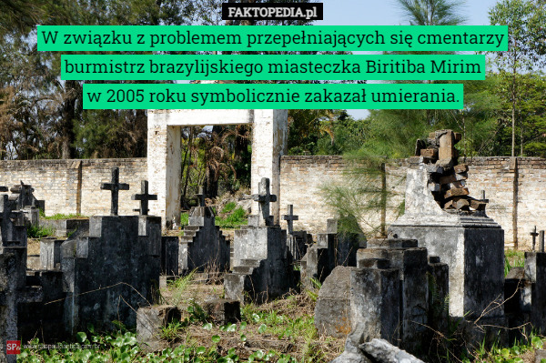 W związku z problemem przepełniających się cmentarzy burmistrz brazylijskiego miasteczka Biritiba Mirim
w 2005 roku symbolicznie zakazał umierania. 