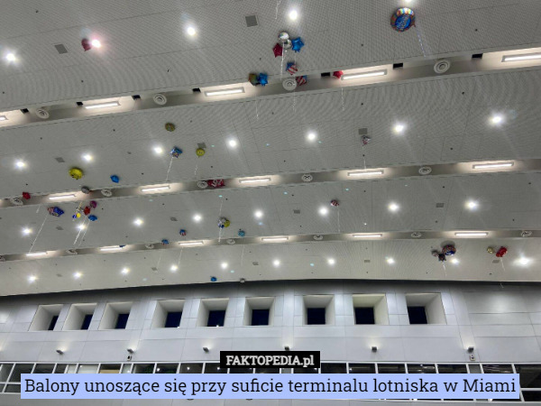Balony unoszące się przy suficie terminalu lotniska w Miami 