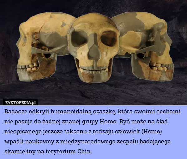 Badacze odkryli humanoidalną czaszkę, która swoimi cechami nie pasuje do żadnej znanej grupy Homo. Być może na ślad nieopisanego jeszcze taksonu z rodzaju człowiek (Homo) wpadli naukowcy z międzynarodowego zespołu badającego skamieliny na terytorium Chin. 