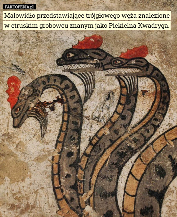 Malowidło przedstawiające trójgłowego węża znalezione w etruskim grobowcu znanym jako Piekielna Kwadryga. 