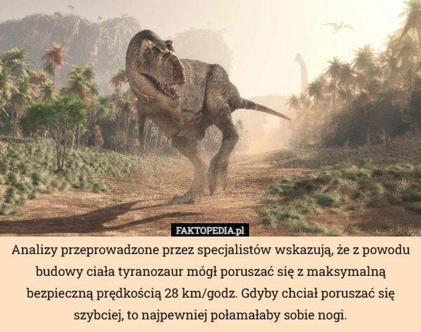 Analizy przeprowadzone przez specjalistów wskazują, że z powodu budowy ciała tyranozaur mógł poruszać się z maksymalną bezpieczną prędkością 28 km/godz. Gdyby chciał poruszać się szybciej, to najpewniej połamałaby sobie nogi. 