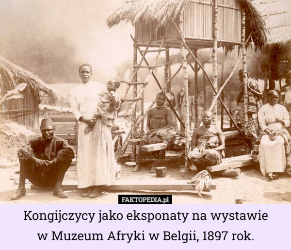 Kongijczycy jako eksponaty na wystawie
 w Muzeum Afryki w Belgii, 1897 rok. 