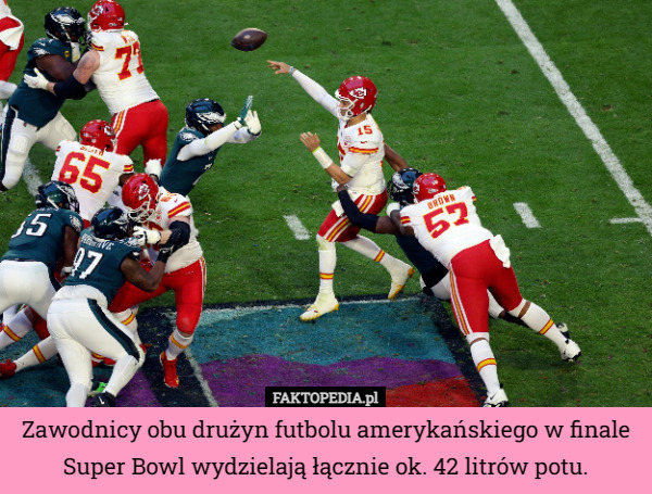 Zawodnicy obu drużyn futbolu amerykańskiego w finale Super Bowl wydzielają łącznie ok. 42 litrów potu. 