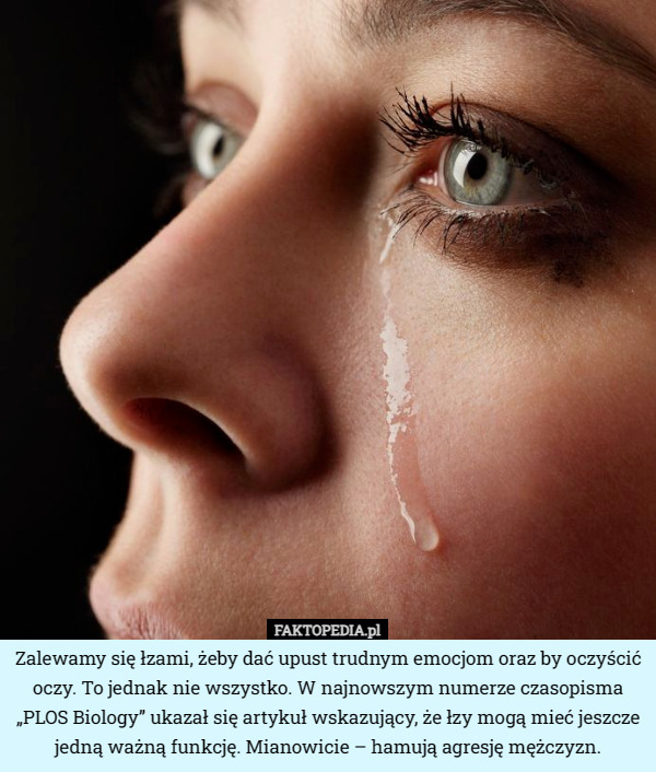 Zalewamy się łzami, żeby dać upust trudnym emocjom oraz by oczyścić oczy. To jednak nie wszystko. W najnowszym numerze czasopisma „PLOS Biology” ukazał się artykuł wskazujący, że łzy mogą mieć jeszcze jedną ważną funkcję. Mianowicie – hamują agresję mężczyzn. 