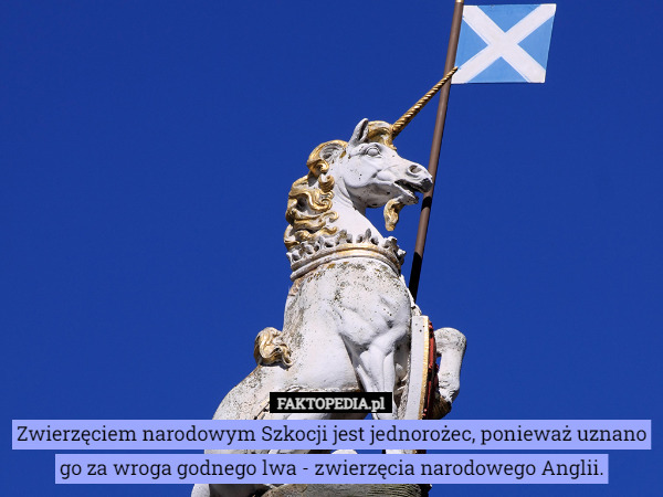 Zwierzęciem narodowym Szkocji jest jednorożec, ponieważ uznano go za wroga godnego lwa - zwierzęcia narodowego Anglii. 