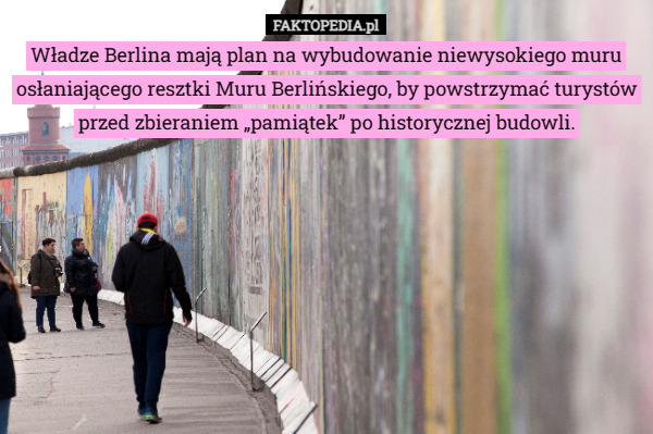 Władze Berlina mają plan na wybudowanie niewysokiego muru osłaniającego resztki Muru Berlińskiego, by powstrzymać turystów przed zbieraniem „pamiątek” po historycznej budowli. 