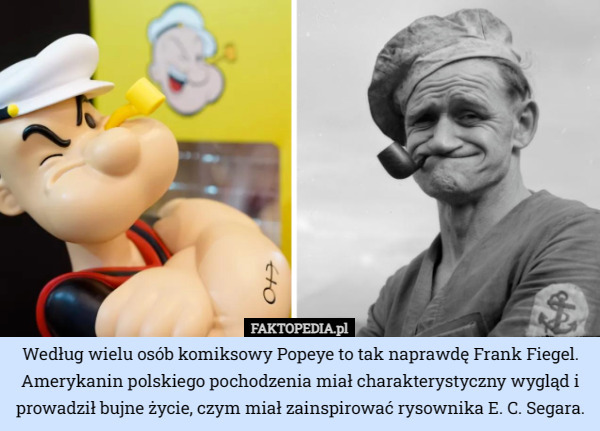 Według wielu osób komiksowy Popeye to tak naprawdę Frank Fiegel. Amerykanin polskiego pochodzenia miał charakterystyczny wygląd i prowadził bujne życie, czym miał zainspirować rysownika E. C. Segara. 