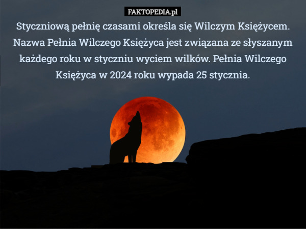 Styczniową pełnię czasami określa się Wilczym Księżycem. Nazwa Pełnia Wilczego Księżyca jest związana ze słyszanym każdego roku w styczniu wyciem wilków. Pełnia Wilczego Księżyca w 2024 roku wypada 25 stycznia. 