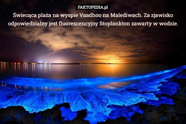 Świecąca plaża na wyspie Vaadhoo na Malediwach. Za zjawisko odpowiedzialny jest fluorescencyjny fitoplankton zawarty w wodzie. 