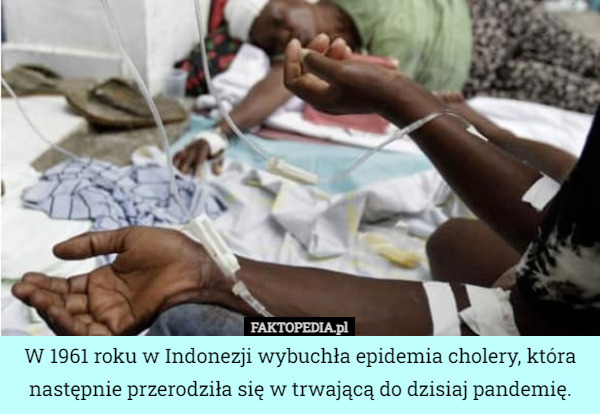 W 1961 roku w Indonezji wybuchła epidemia cholery, która następnie przerodziła się w trwającą do dzisiaj pandemię. 