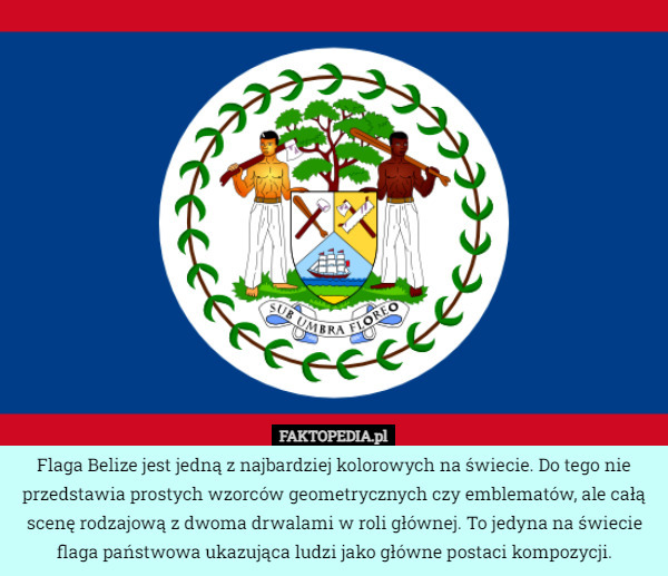 Flaga Belize jest jedną z najbardziej kolorowych na świecie. Do tego nie przedstawia prostych wzorców geometrycznych czy emblematów, ale całą scenę rodzajową z dwoma drwalami w roli głównej. To jedyna na świecie flaga państwowa ukazująca ludzi jako główne postaci kompozycji. 