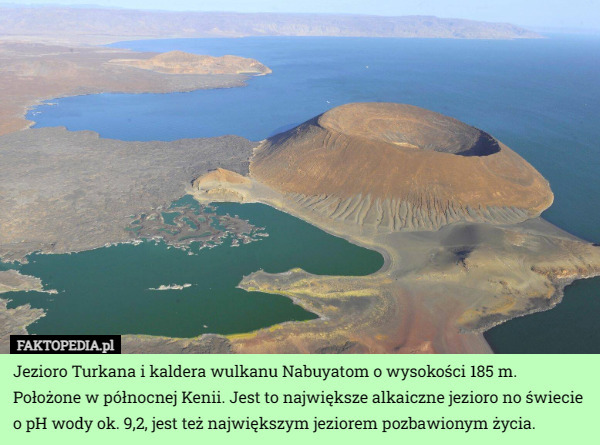 Jezioro Turkana i kaldera wulkanu Nabuyatom o wysokości 185 m. Położone w północnej Kenii. Jest to największe alkaiczne jezioro no świecie o pH wody ok. 9,2, jest też największym jeziorem pozbawionym życia. 