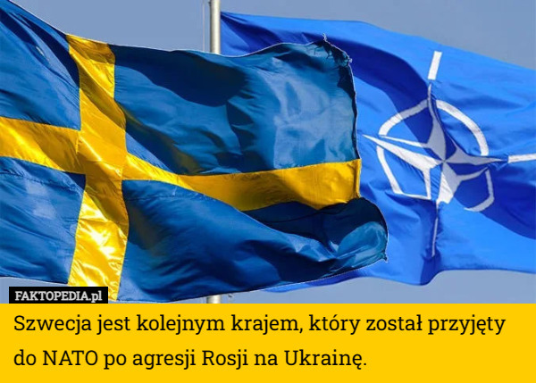 Szwecja jest kolejnym krajem, który został przyjęty do NATO po agresji Rosji na Ukrainę. 