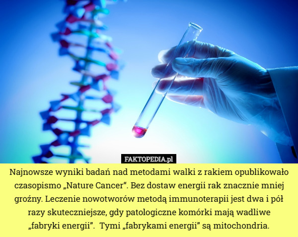 Najnowsze wyniki badań nad metodami walki z rakiem opublikowało czasopismo „Nature Cancer“. Bez dostaw energii rak znacznie mniej groźny. Leczenie nowotworów metodą immunoterapii jest dwa i pół razy skuteczniejsze, gdy patologiczne komórki mają wadliwe
 „fabryki energii”.  Tymi „fabrykami energii” są mitochondria. 