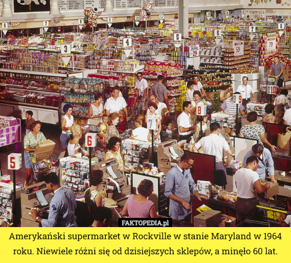 Amerykański supermarket w Rockville w stanie Maryland w 1964 roku. Niewiele różni się od dzisiejszych sklepów, a minęło 60 lat. 