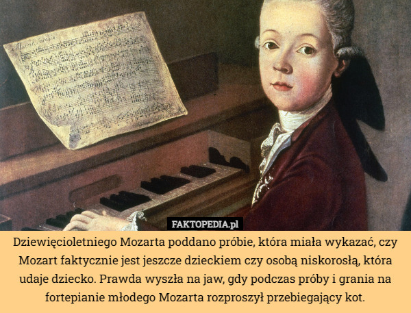 Dziewięcioletniego Mozarta poddano próbie, która miała wykazać, czy Mozart faktycznie jest jeszcze dzieckiem czy osobą niskorosłą, która udaje dziecko. Prawda wyszła na jaw, gdy podczas próby i grania na fortepianie młodego Mozarta rozproszył przebiegający kot. 