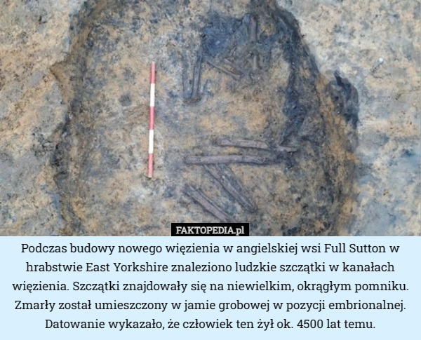 Podczas budowy nowego więzienia w angielskiej wsi Full Sutton w hrabstwie East Yorkshire znaleziono ludzkie szczątki w kanałach więzienia. Szczątki znajdowały się na niewielkim, okrągłym pomniku. Zmarły został umieszczony w jamie grobowej w pozycji embrionalnej. Datowanie wykazało, że człowiek ten żył ok. 4500 lat temu. 