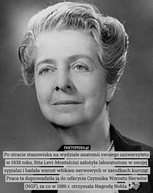 Po utracie stanowiska na wydziale anatomii swojego uniwersytetu w 1938 roku, Rita Levi-Montalcini założyła laboratorium w swojej sypialni i badała wzrost włókien nerwowych w zarodkach kurcząt. Praca ta doprowadziła ją do odkrycia Czynnika Wzrostu Nerwów (NGF), za co w 1986 r. otrzymała Nagrodę Nobla. 