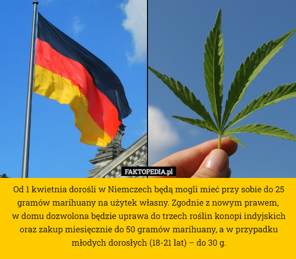 Od 1 kwietnia dorośli w Niemczech będą mogli mieć przy sobie do 25 gramów marihuany na użytek własny. Zgodnie z nowym prawem, 
w domu dozwolona będzie uprawa do trzech roślin konopi indyjskich oraz zakup miesięcznie do 50 gramów marihuany, a w przypadku młodych dorosłych (18-21 lat) – do 30 g. 