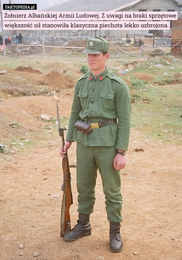 Żołnierz Albańskiej Armii Ludowej. Z uwagi na braki sprzętowe większość sił stanowiła klasyczna piechota lekko uzbrojona. 