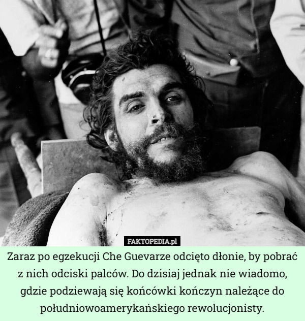 Zaraz po egzekucji Che Guevarze odcięto dłonie, by pobrać z nich odciski palców. Do dzisiaj jednak nie wiadomo, gdzie podziewają się końcówki kończyn należące do południowoamerykańskiego rewolucjonisty. 