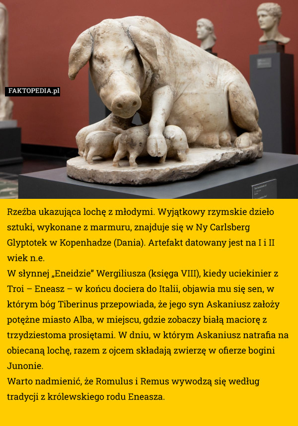 Rzeźba ukazująca lochę z młodymi. Wyjątkowy rzymskie dzieło sztuki, wykonane z marmuru, znajduje się w Ny Carlsberg Glyptotek w Kopenhadze (Dania). Artefakt datowany jest na I i II wiek n.e.
W słynnej „Eneidzie” Wergiliusza (księga VIII), kiedy uciekinier z Troi – Eneasz – w końcu dociera do Italii, objawia mu się sen, w którym bóg Tiberinus przepowiada, że jego syn Askaniusz założy potężne miasto Alba, w miejscu, gdzie zobaczy białą maciorę z trzydziestoma prosiętami. W dniu, w którym Askaniusz natrafia na obiecaną lochę, razem z ojcem składają zwierzę w ofierze bogini Junonie.
Warto nadmienić, że Romulus i Remus wywodzą się według tradycji z królewskiego rodu Eneasza. 
