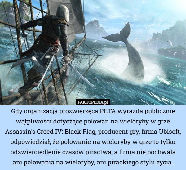 Gdy organizacja prozwierzęca PETA wyraziła publicznie wątpliwości dotyczące polowań na wieloryby w grze Assassin's Creed IV: Black Flag, producent gry, firma Ubisoft, odpowiedział, że polowanie na wieloryby w grze to tylko odzwierciedlenie czasów piractwa, a firma nie pochwala
ani polowania na wieloryby, ani pirackiego stylu życia. 