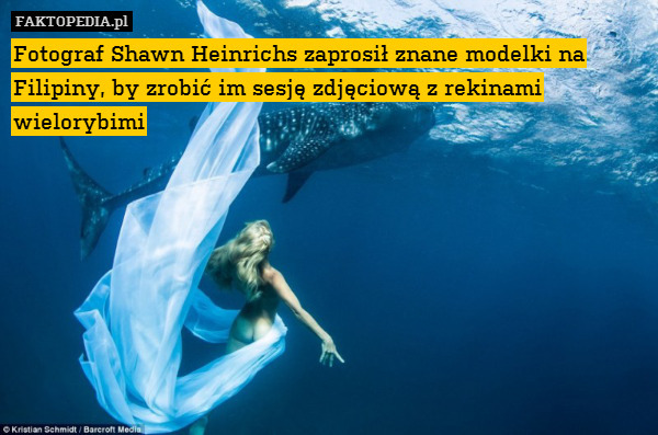 Fotograf Shawn Heinrichs zaprosił znane modelki na Filipiny, by zrobić im sesję zdjęciową z rekinami wielorybimi 