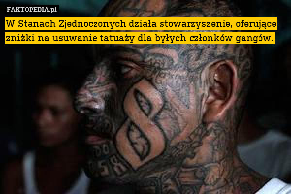 W Stanach Zjednoczonych działa stowarzyszenie, oferujące zniżki na usuwanie tatuaży dla byłych członków gangów. 