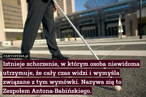 Istnieje schorzenie, w którym osoba niewidoma utrzymuje, że cały czas widzi i wymyśla związane z tym wymówki. Nazywa się to Zespołem Antona-Babińskiego. 