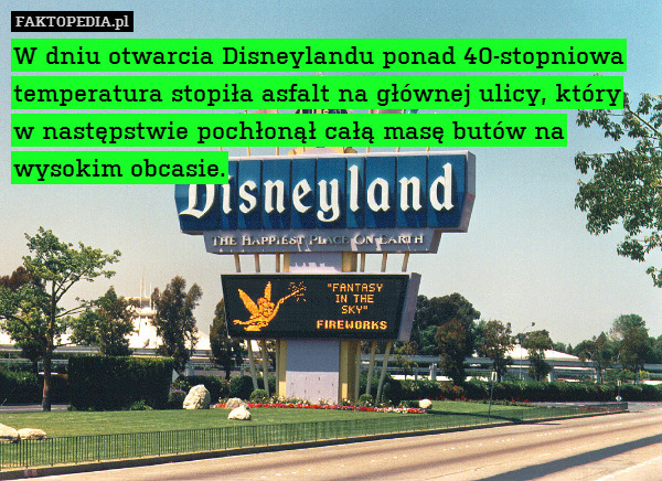 W dniu otwarcia Disneylandu ponad 40-stopniowa temperatura stopiła asfalt na głównej ulicy, który w następstwie pochłonął całą masę butów na wysokim obcasie. 