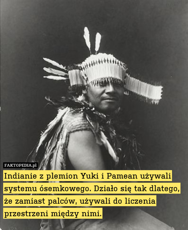 Indianie z plemion Yuki i Pamean używali systemu ósemkowego. Działo się tak dlatego,
że zamiast palców, używali do liczenia przestrzeni między nimi. 