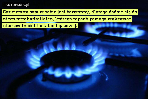 Gaz ziemny sam w sobie jest bezwonny, dlatego dodaje się do niego tetrahydrotiofen, którego zapach pomaga wykrywać nieszczelności instalacji gazowej. 