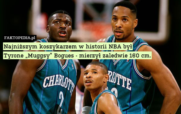 Najniższym koszykarzem w historii NBA był
Tyrone „Muggsy” Bogues - mierzył zaledwie 160 cm. 