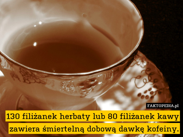 130 filiżanek herbaty lub 80 filiżanek kawy zawiera śmiertelną dobową dawkę kofeiny. 