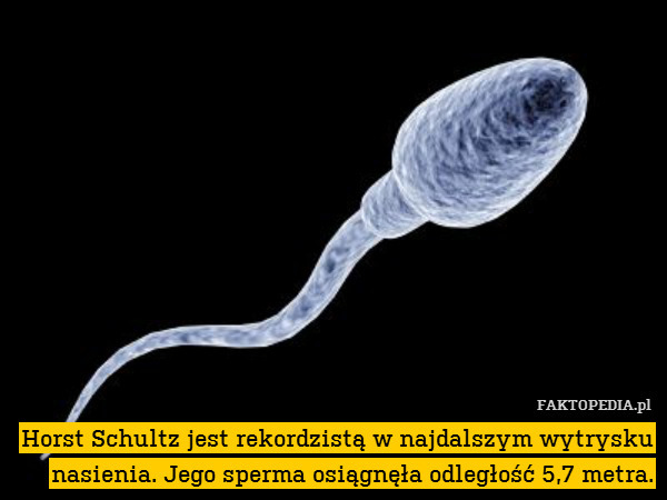Horst Schultz jest rekordzistą w najdalszym wytrysku nasienia. Jego sperma osiągnęła odległość 5,7 metra. 