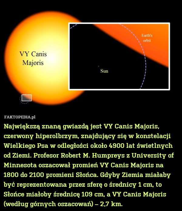 Największą znaną gwiazdą jest VY Canis Majoris, czerwony hiperolbrzym, znajdujący się w konstelacji Wielkiego Psa w odległości około 4900 lat świetlnych od Ziemi. Profesor Robert M. Humpreys z University of Minnesota oszacował promień VY Canis Majoris na 1800 do 2100 promieni Słońca. Gdyby Ziemia miałaby być reprezentowana przez sferę o średnicy 1 cm, to Słońce miałoby średnicę 109 cm, a VY Canis Majoris (według górnych oszacowań) – 2,7 km. 