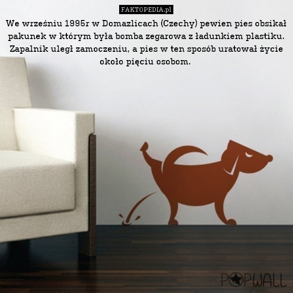 We wrześniu 1995r w Domazlicach (Czechy) pewien pies obsikał pakunek w którym była bomba zegarowa z ładunkiem plastiku. Zapalnik uległ zamoczeniu, a pies w ten sposób uratował życie około pięciu osobom. 