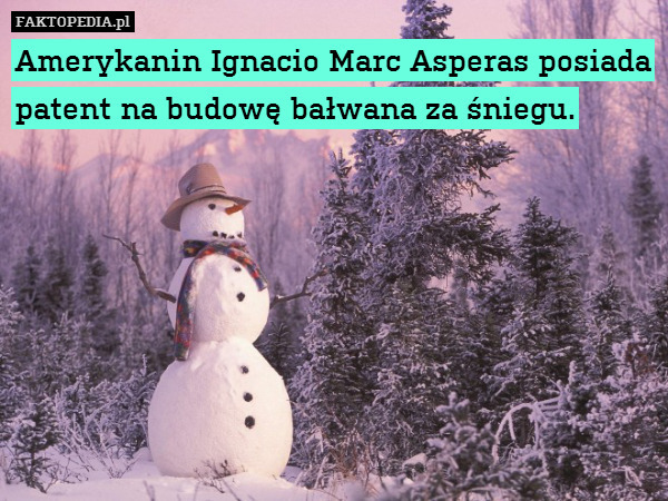 Amerykanin Ignacio Marc Asperas posiada patent na budowę bałwana za śniegu. 