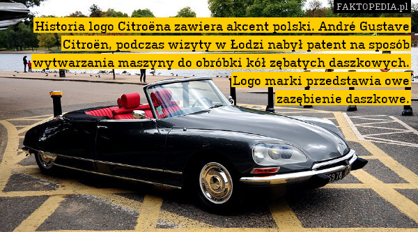 Historia logo Citroëna zawiera akcent polski. André Gustave Citroën, podczas wizyty w Łodzi nabył patent na sposób wytwarzania maszyny do obróbki kół zębatych daszkowych. Logo marki przedstawia owe
zazębienie daszkowe. 