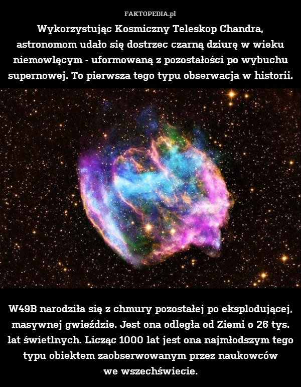 Wykorzystując Kosmiczny Teleskop Chandra, astronomom udało się dostrzec czarną dziurę w wieku niemowlęcym - uformowaną z pozostałości po wybuchu supernowej. To pierwsza tego typu obserwacja w historii.














W49B narodziła się z chmury pozostałej po eksplodującej, masywnej gwieździe. Jest ona odległa od Ziemi o 26 tys. lat świetlnych. Licząc 1000 lat jest ona najmłodszym tego typu obiektem zaobserwowanym przez naukowców
we wszechświecie. 