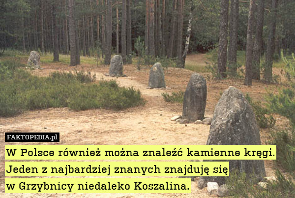 W Polsce również można znaleźć kamienne kręgi.
Jeden z najbardziej znanych znajduję się
w Grzybnicy niedaleko Koszalina. 
