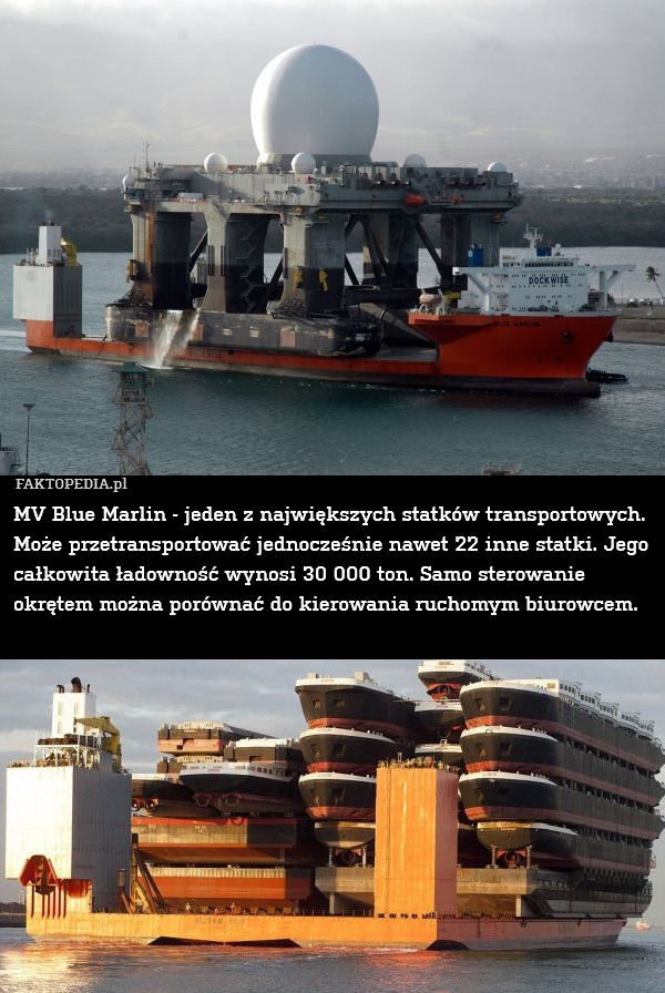 MV Blue Marlin - jeden z największych statków transportowych.
Może przetransportować jednocześnie nawet 22 inne statki. Jego całkowita ładowność wynosi 30 000 ton. Samo sterowanie okrętem można porównać do kierowania ruchomym biurowcem. 