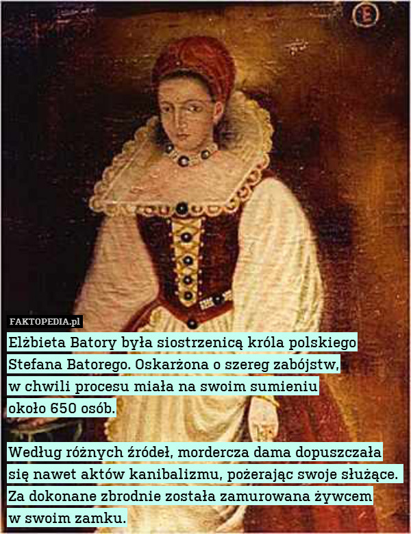 Elżbieta Batory była siostrzenicą króla polskiego Stefana Batorego. Oskarżona o szereg zabójstw,
w chwili procesu miała na swoim sumieniu
około 650 osób.

Według różnych źródeł, mordercza dama dopuszczała się nawet aktów kanibalizmu, pożerając swoje służące. 
Za dokonane zbrodnie została zamurowana żywcem
w swoim zamku. 