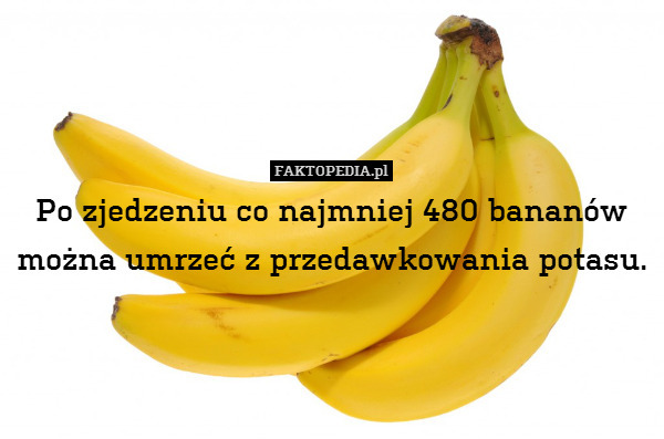 Po zjedzeniu co najmniej 480 bananów można umrzeć z przedawkowania potasu. 