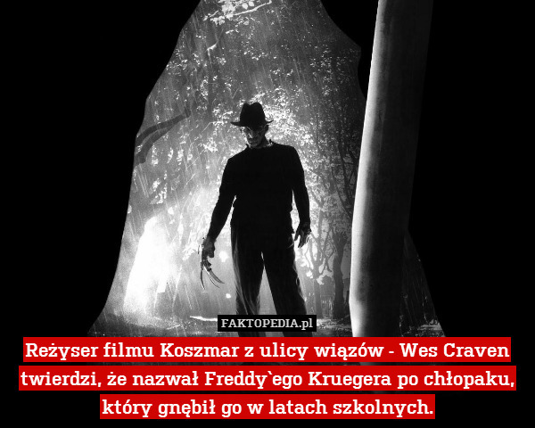 Reżyser filmu Koszmar z ulicy wiązów - Wes Craven twierdzi, że nazwał Freddy`ego Kruegera po chłopaku, który gnębił go w latach szkolnych. 