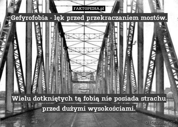 Gefyrofobia - lęk przed przekraczaniem mostów.







Wielu dotkniętych tą fobią nie posiada strachu przed dużymi wysokościami. 